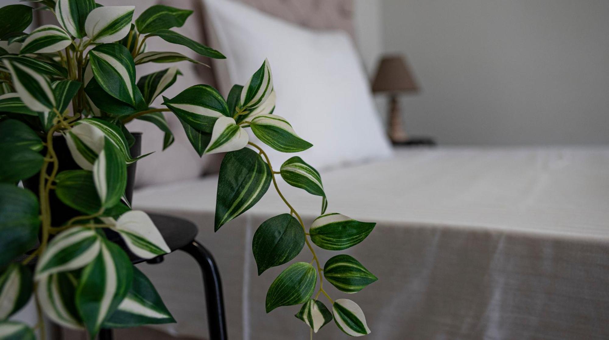 Nikitas Apartments & Suites Kanali  Dış mekan fotoğraf